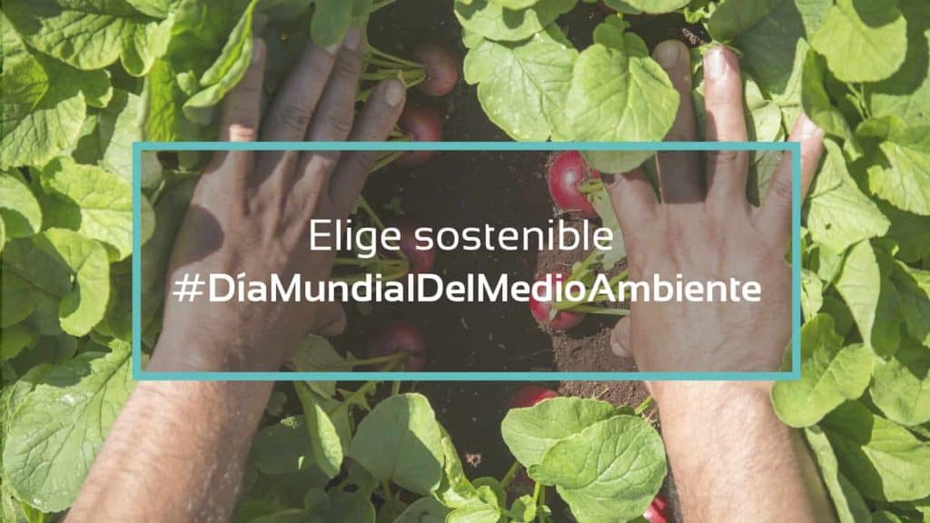 dia-mundial-del-medio-ambiente, elige-sostenible