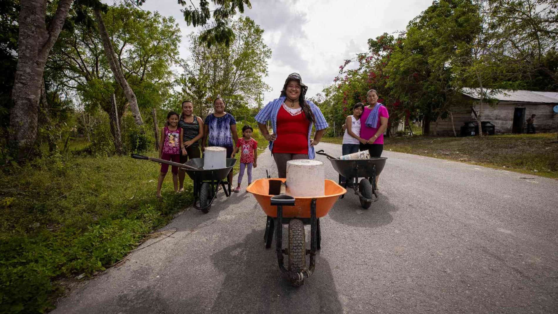 Programas de Impacto en Sistema.bio Mexico