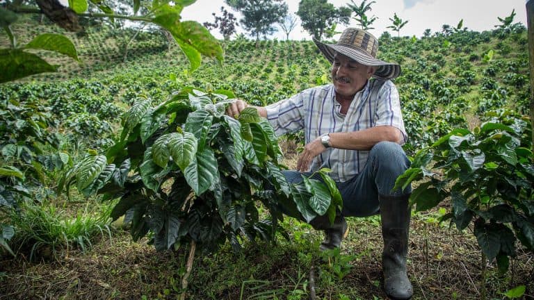 programas de impacto en colombia